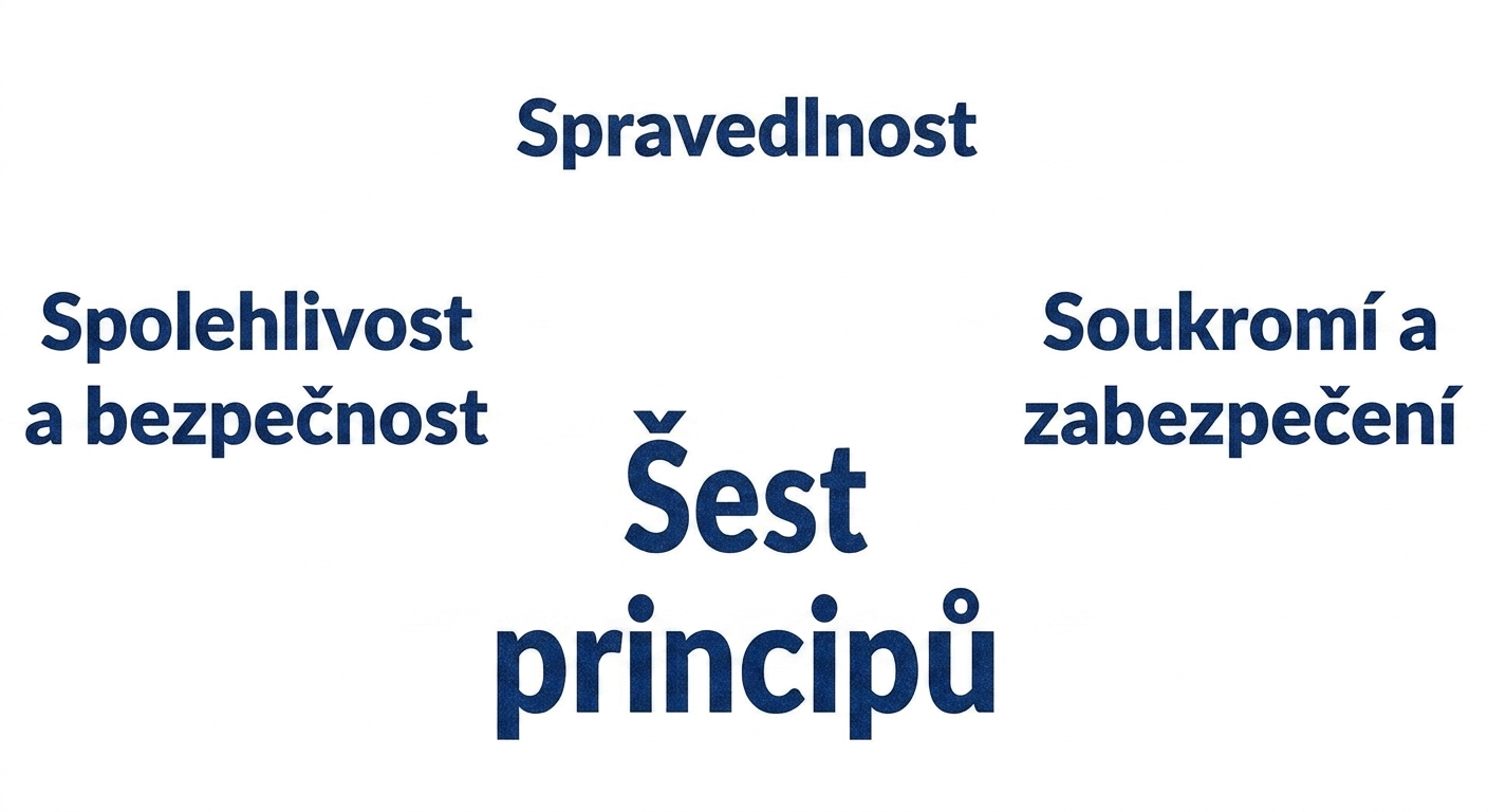 Text „šest principů“ obklopený pojmy označujícími tyto principy: spravedlnost, soukromí a bezpečnost, spolehlivost a bezpečí