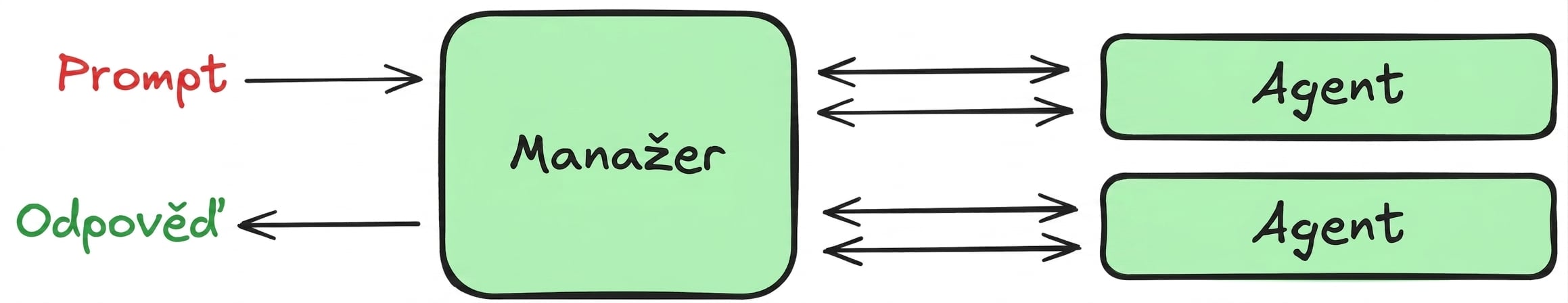 vzor správce