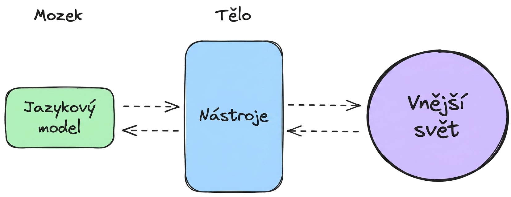 mozek_tělo