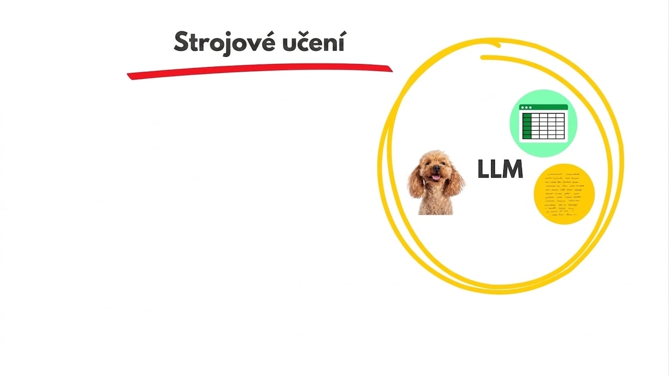 llms4.jpg