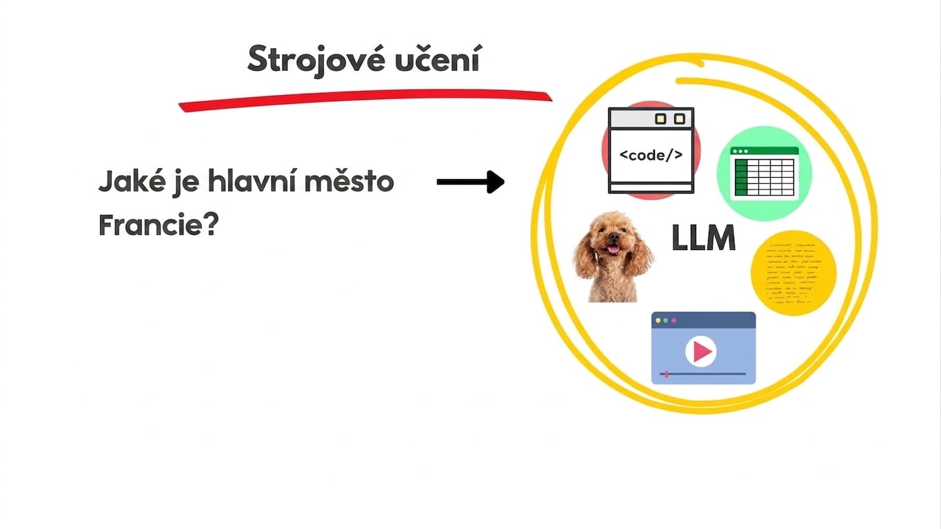 llms7.jpg