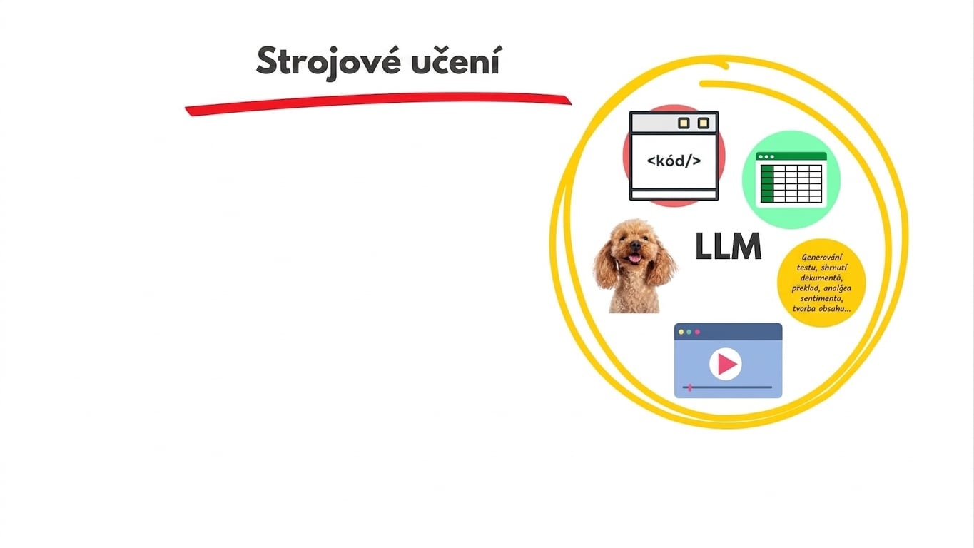 llms6.jpg