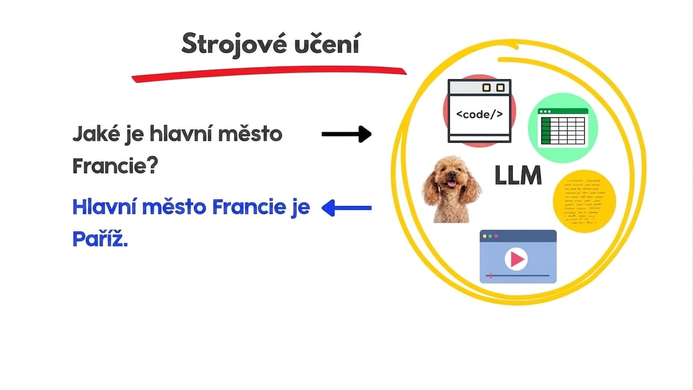 llms8.jpg