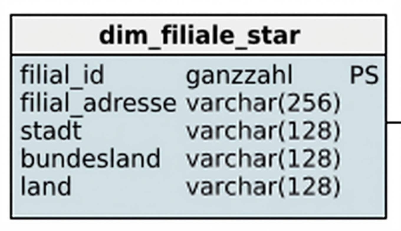 Store dimension of the star schema