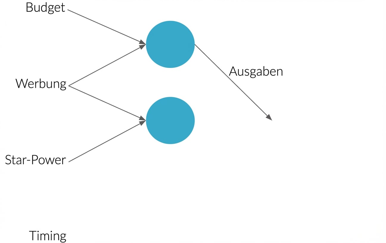 Erklärung des neuronalen Netzes