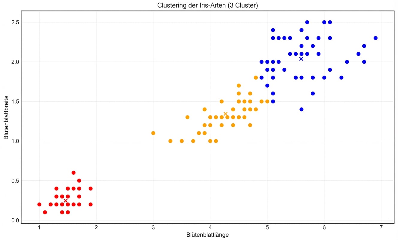 Iris-Clustering mit drei Clustern