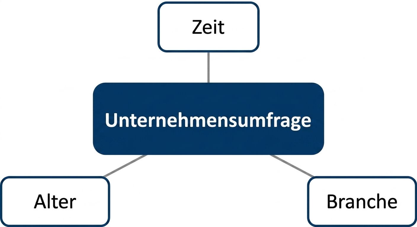 Diagramm eines Star-Schemas mit dem Fakt „Establishment Survey“, umgeben von den Dimensionen „Age“, „Industry“ und „Time“