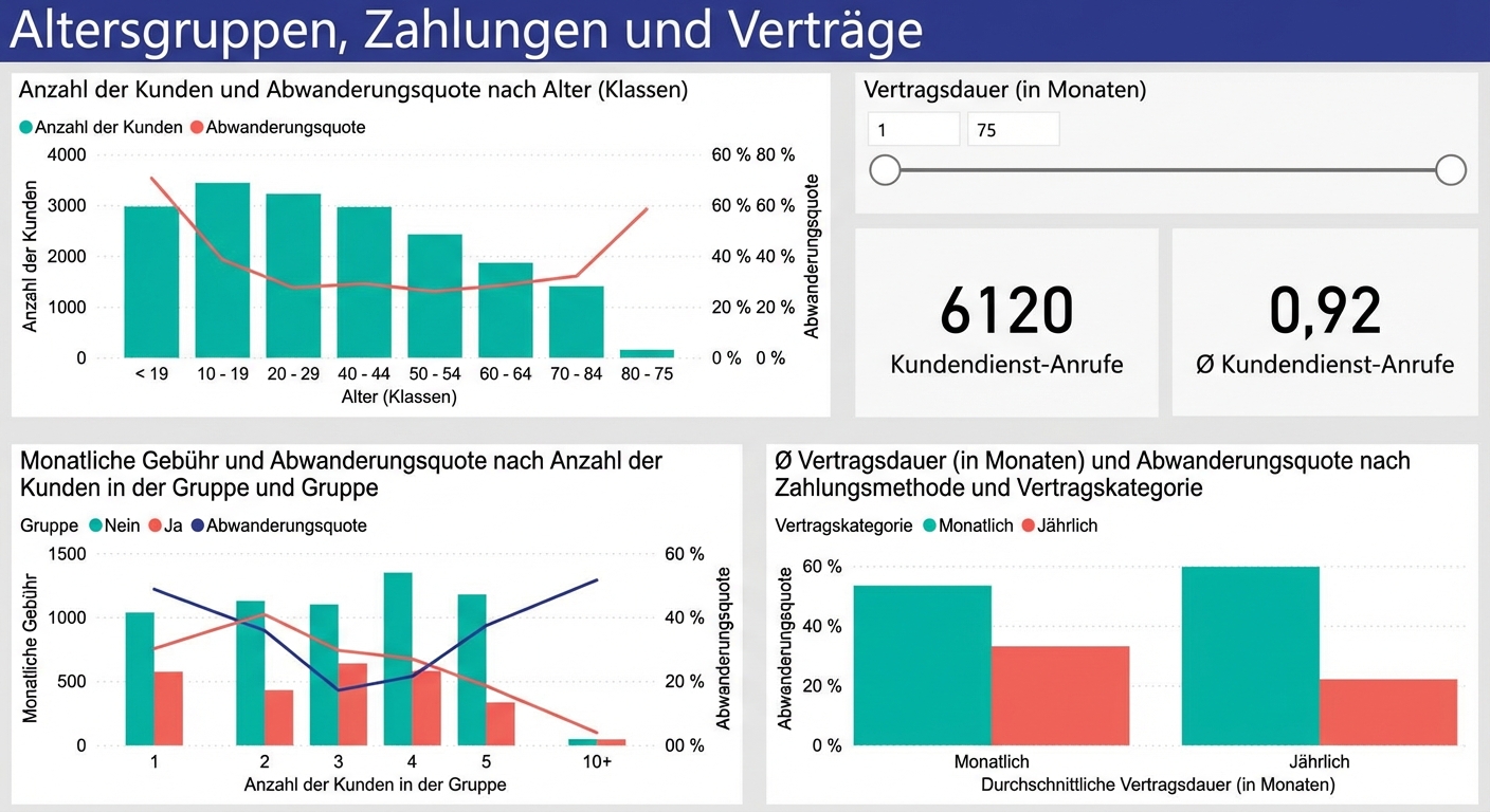 Berichtseite zu Altersgruppen, Zahlungen und Verträgen