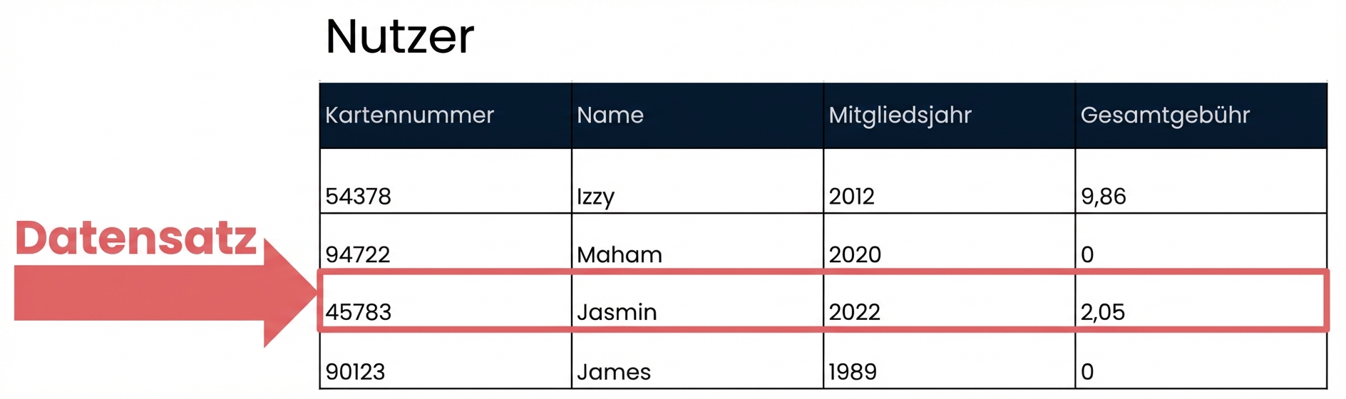 die Tabelle „patrons“ mit einem einzelnen Datensatz markiert