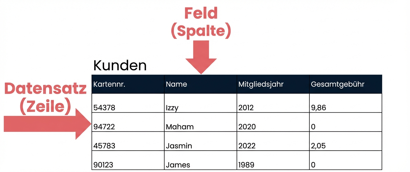 die Tabelle „patrons“ mit Datensätzen und Feldern, die wie folgt identifiziert sind