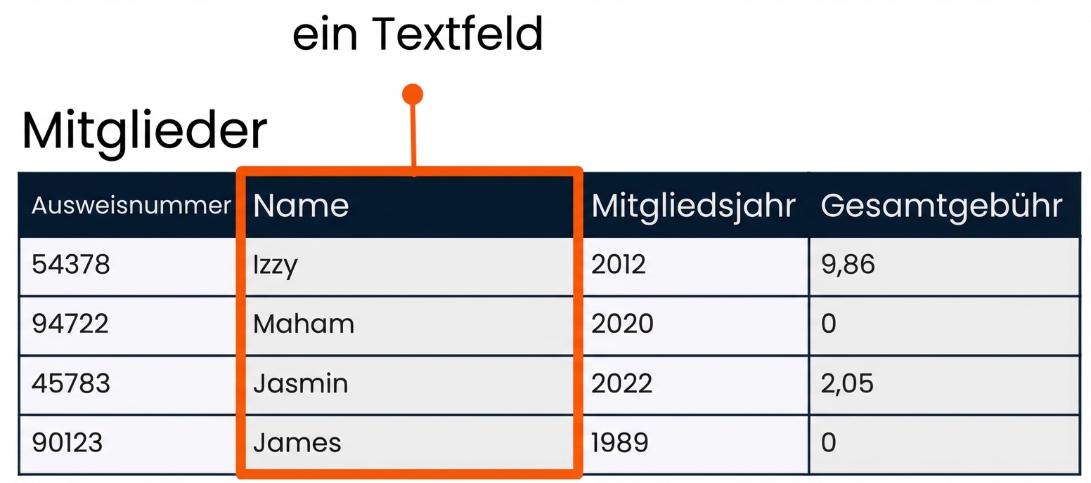 die Tabelle „patrons“ mit dem Feld „name“ als Beispiel für ein Zeichenfolgenfeld hervorgehoben