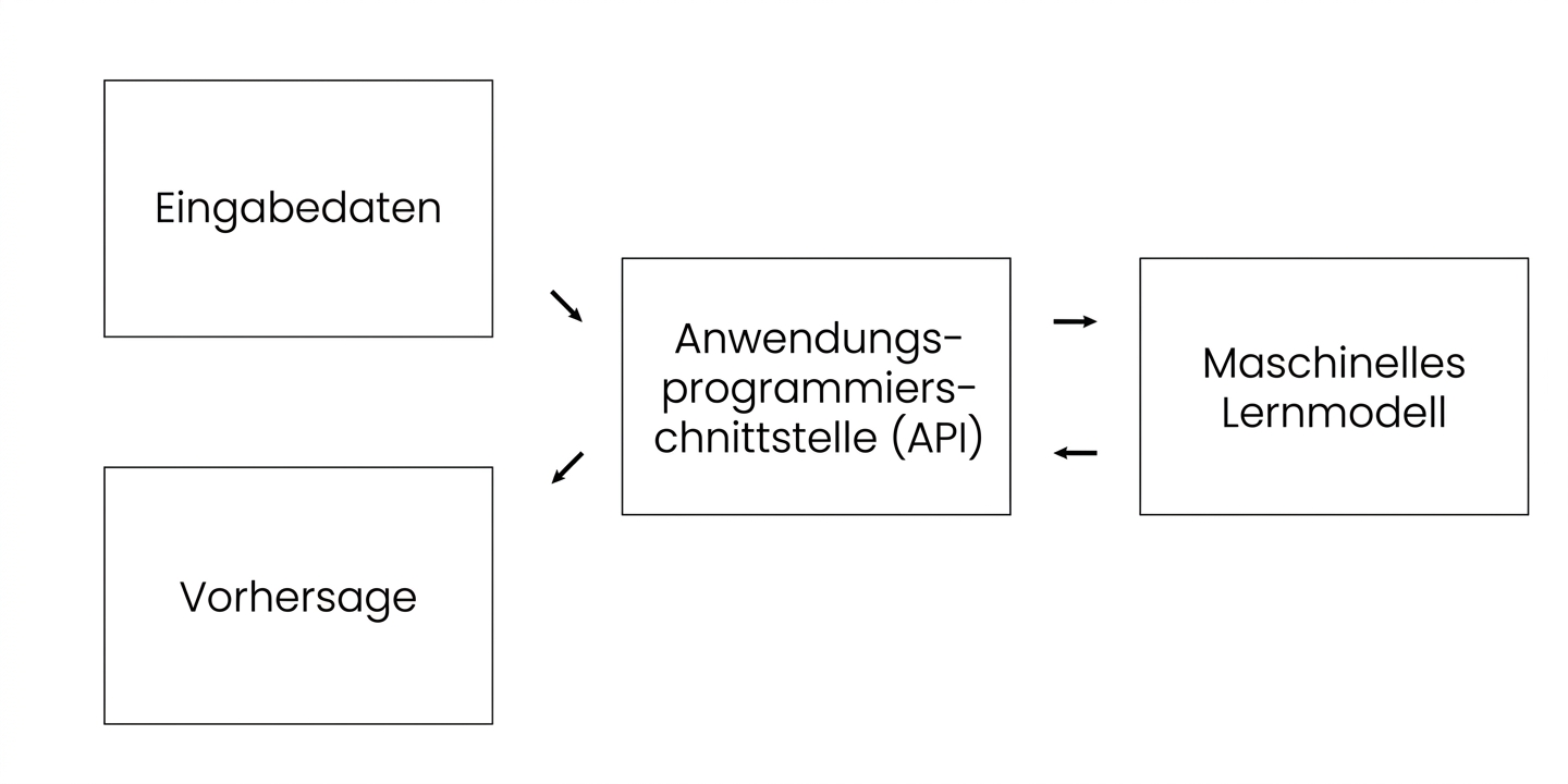 Application programming interface excluding information