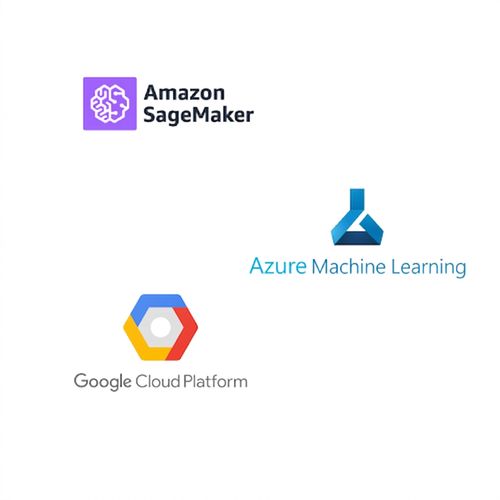 Machine learning platform tools