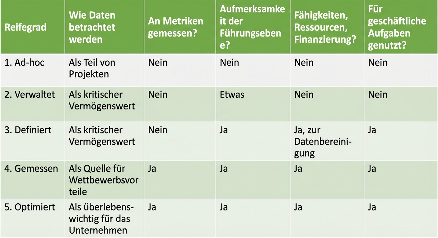Ein Diagramm, das die verschiedenen Stufen der Datenmanagement-Reife zeigt