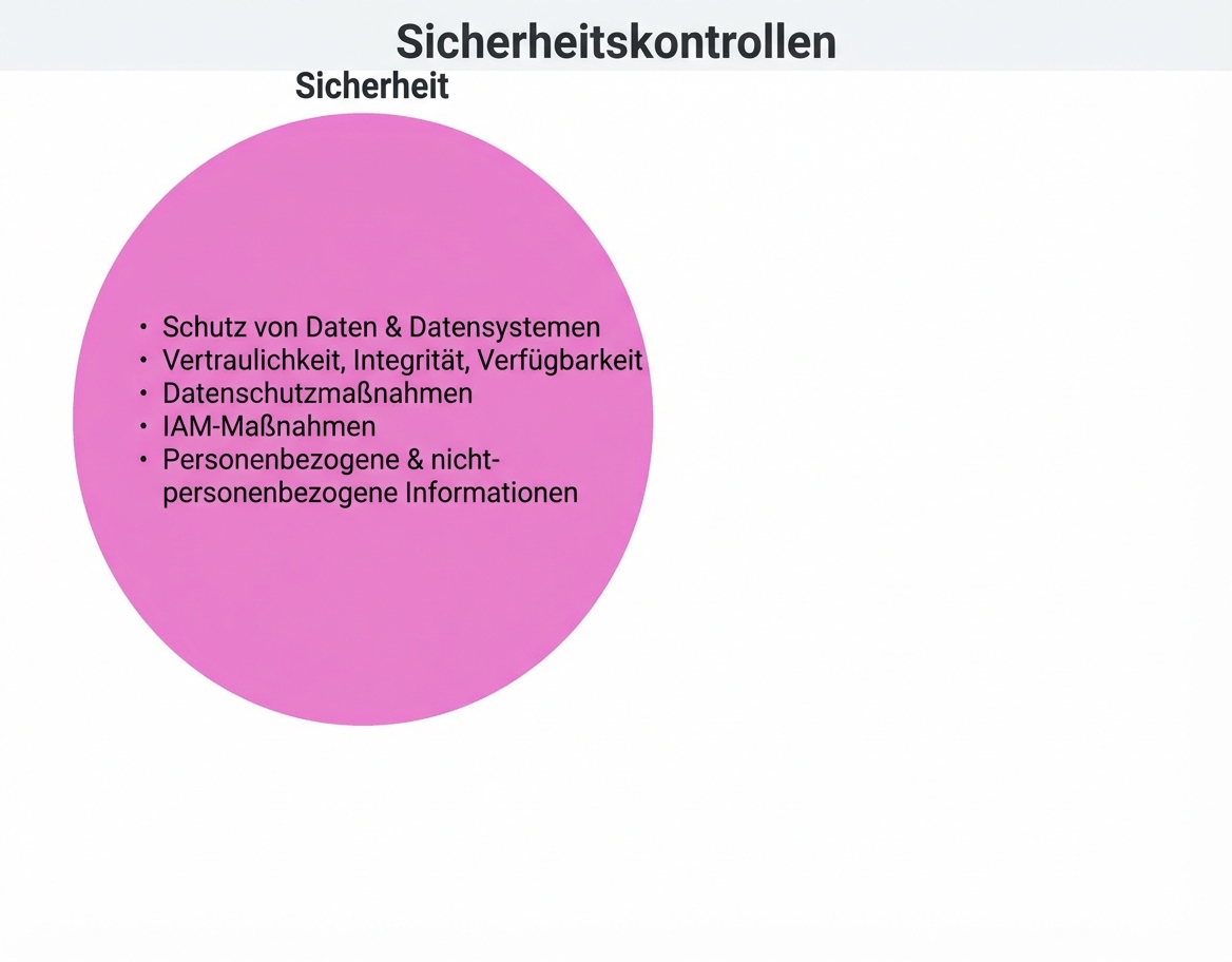 Sicherheitskontrollen-Kreis