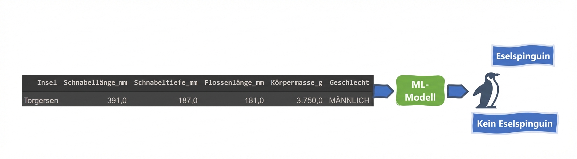 Binäre Klassifizierung