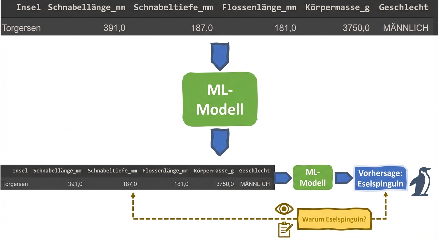 Erklärbarkeit in einem ML-Pinguin-Klassifikator