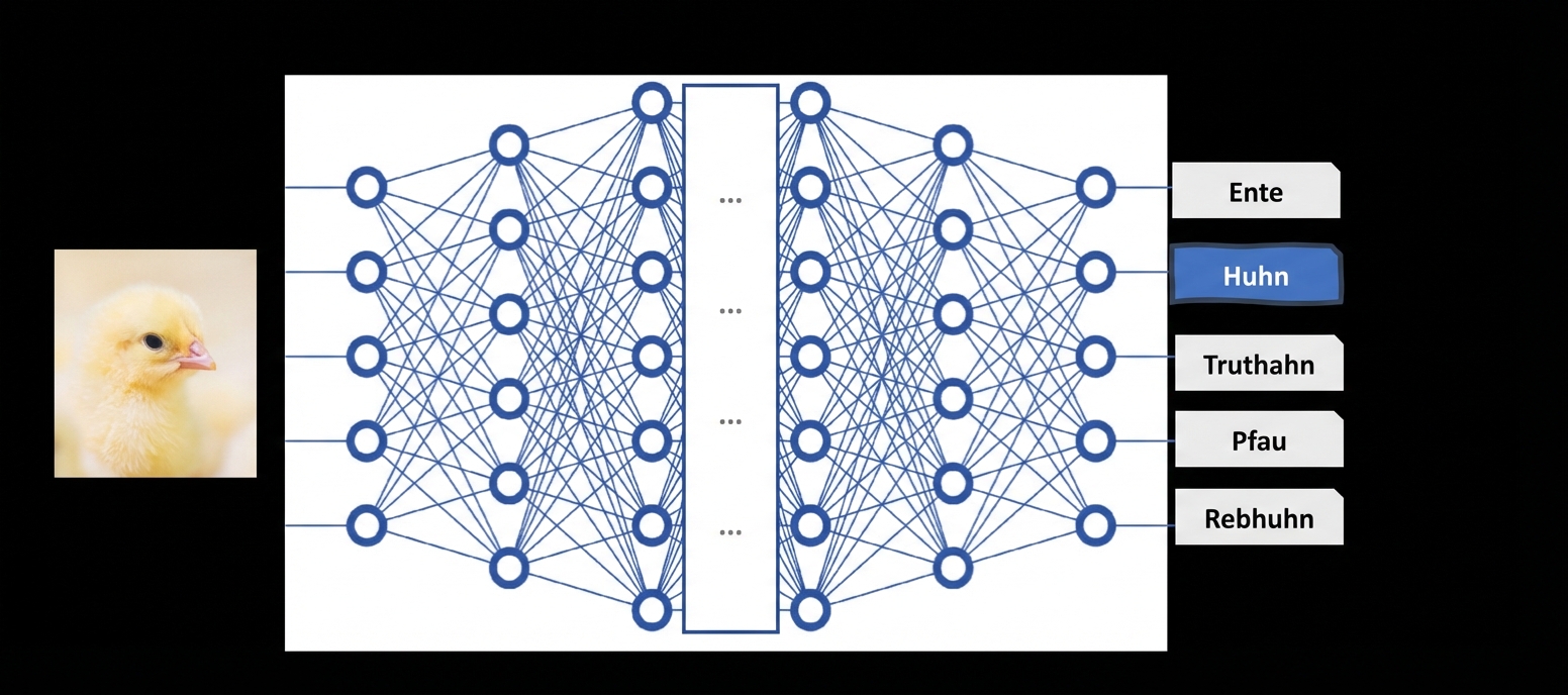 Tiefes neuronales Netz als Blackbox-Modell