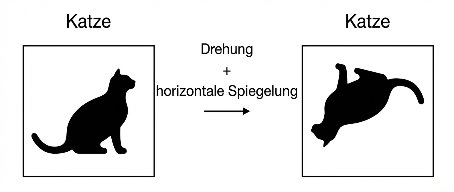 Bild einer horizontal gespiegelten und gedrehten Katze.
