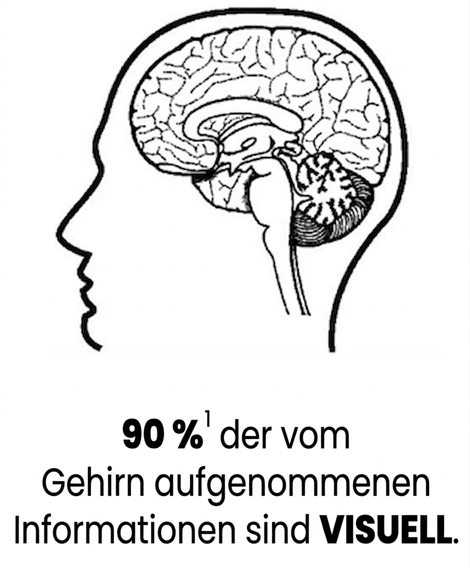 Bild eines menschlichen Gehirns