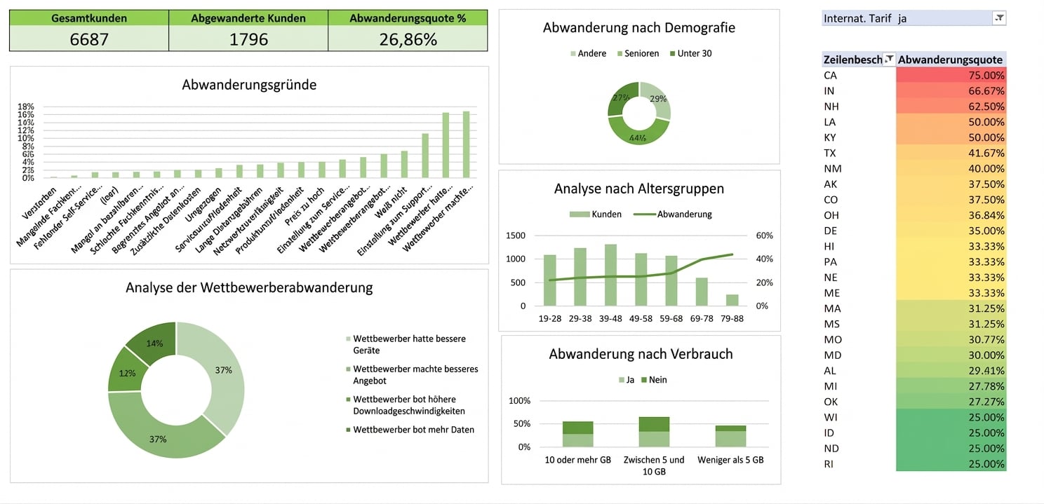 Excel-Dashboard aus der Fallstudie