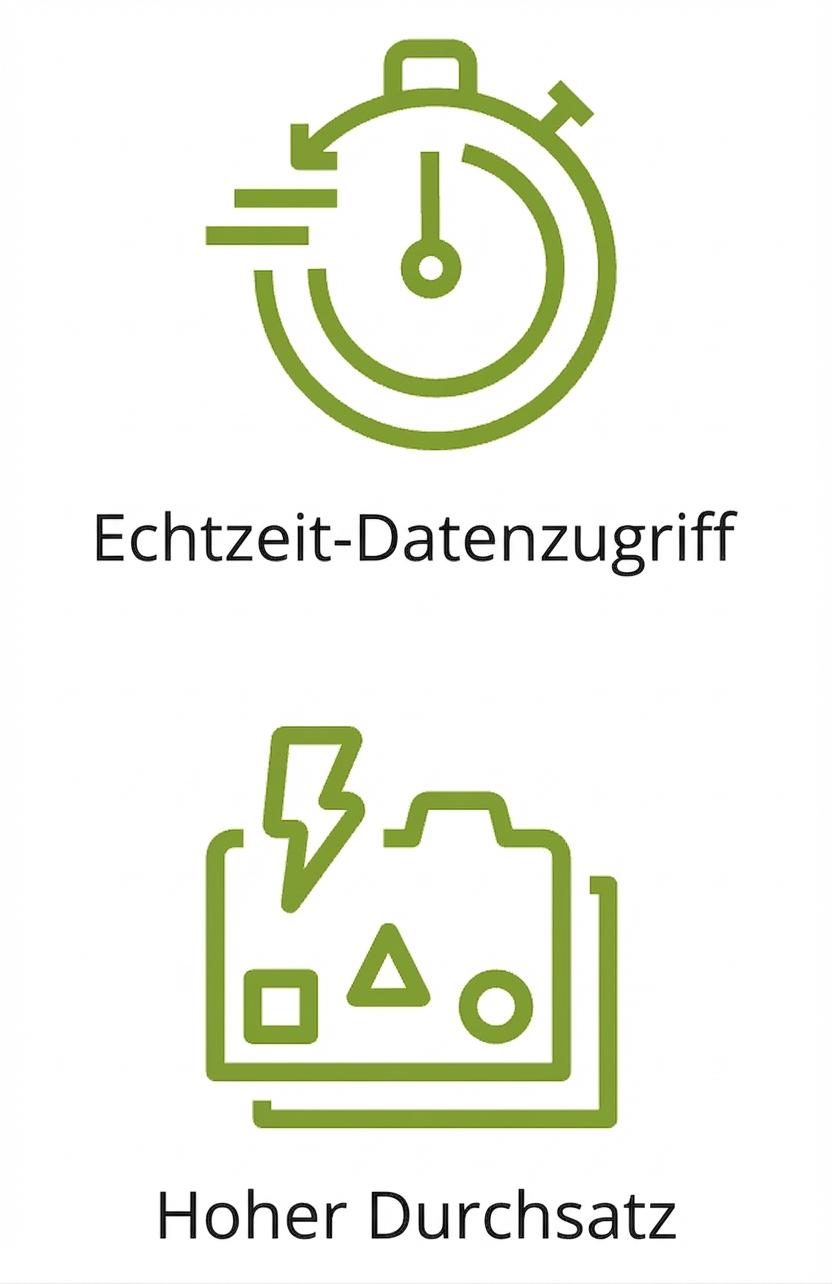 Zwei Symbole für Echtzeitzugriff und hohen Durchsatz.