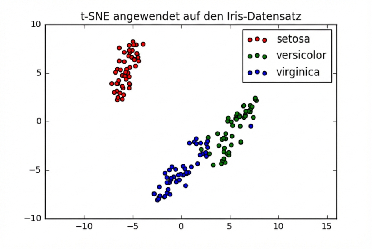 Streudiagramm von t-SNE, erstellt anhand des Iris-Datensatzes