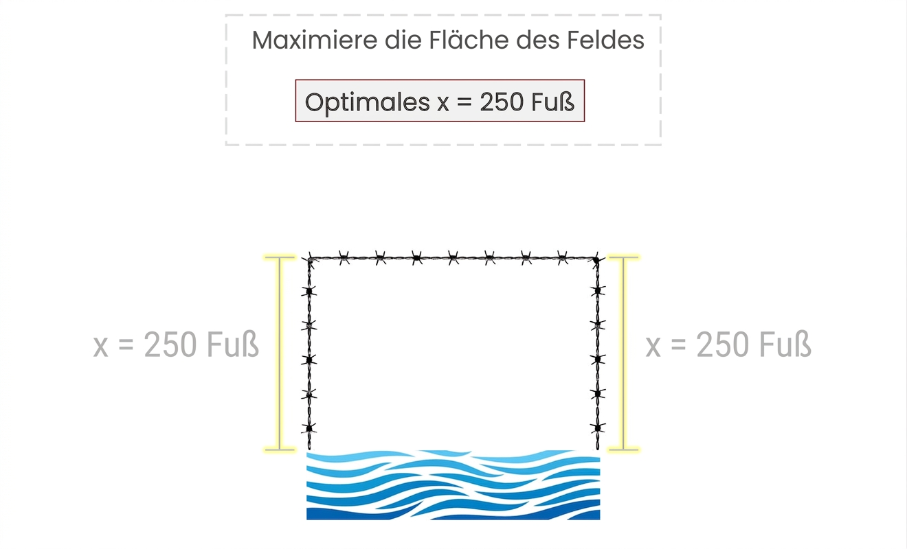 Eine Zeichnung des rechteckigen Felds des Landwirts mit x mit dem Wert 250 ft