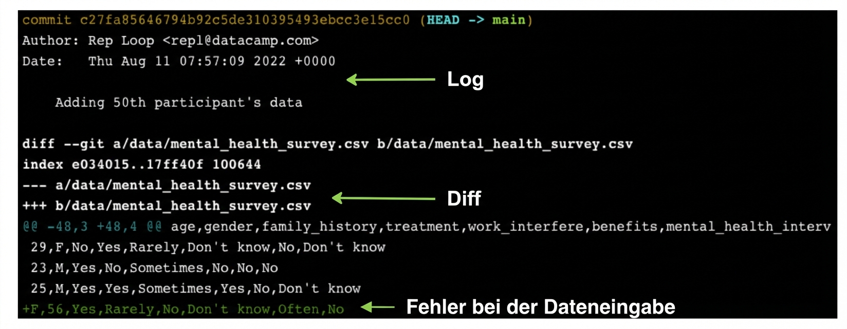 git show output zeigt oben die git log-Ausgabe und darunter die git diff-Ausgabe an, wobei die fehlerhafte Dateneingabe unten steht