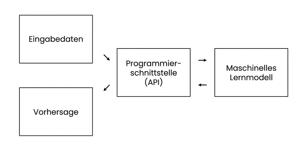 Application programming interface excluding information