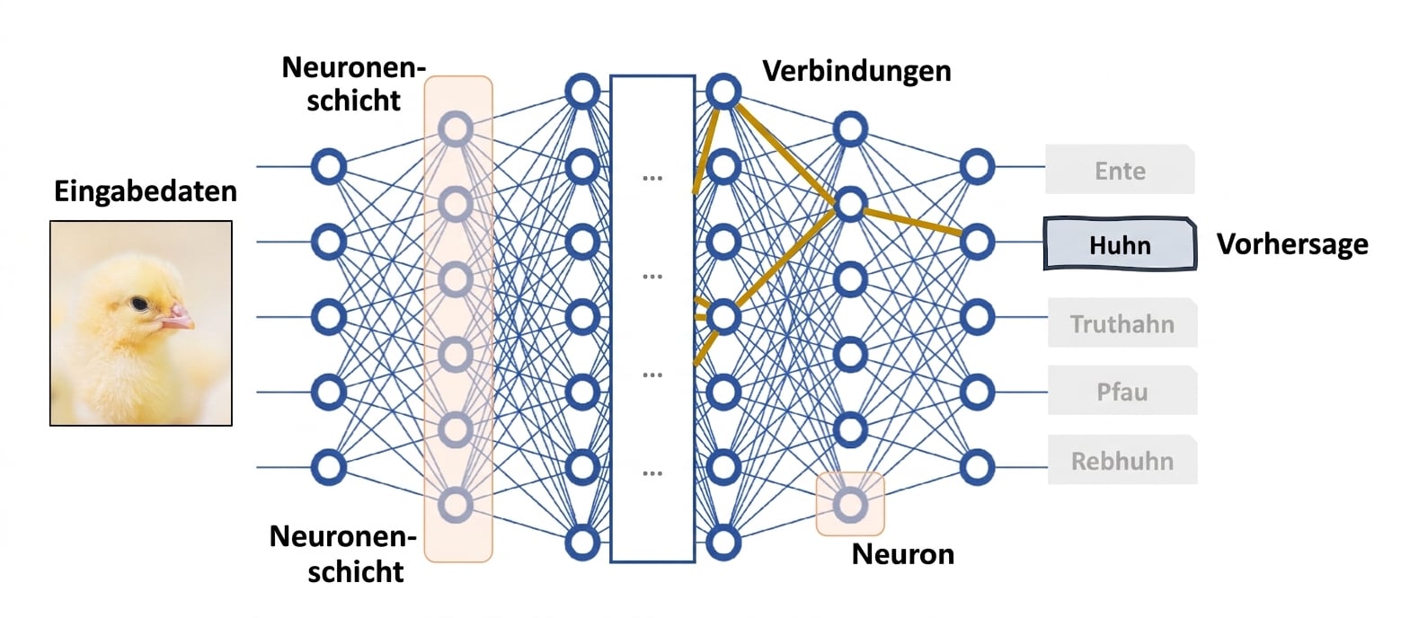 Tiefes neuronales Netzwerk als Black-Box-Modell