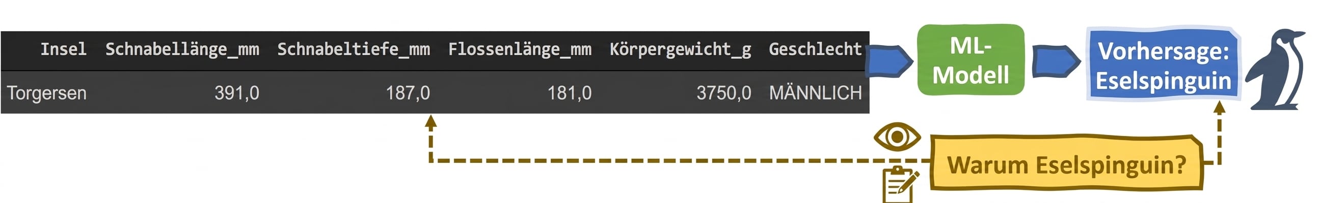 Erklärbarkeit in einem ML-Pinguin-Klassifikator
