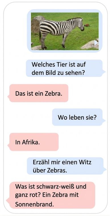 Multimodales Beispiel für ein LLM, das Text- und Bilddaten nutzt
