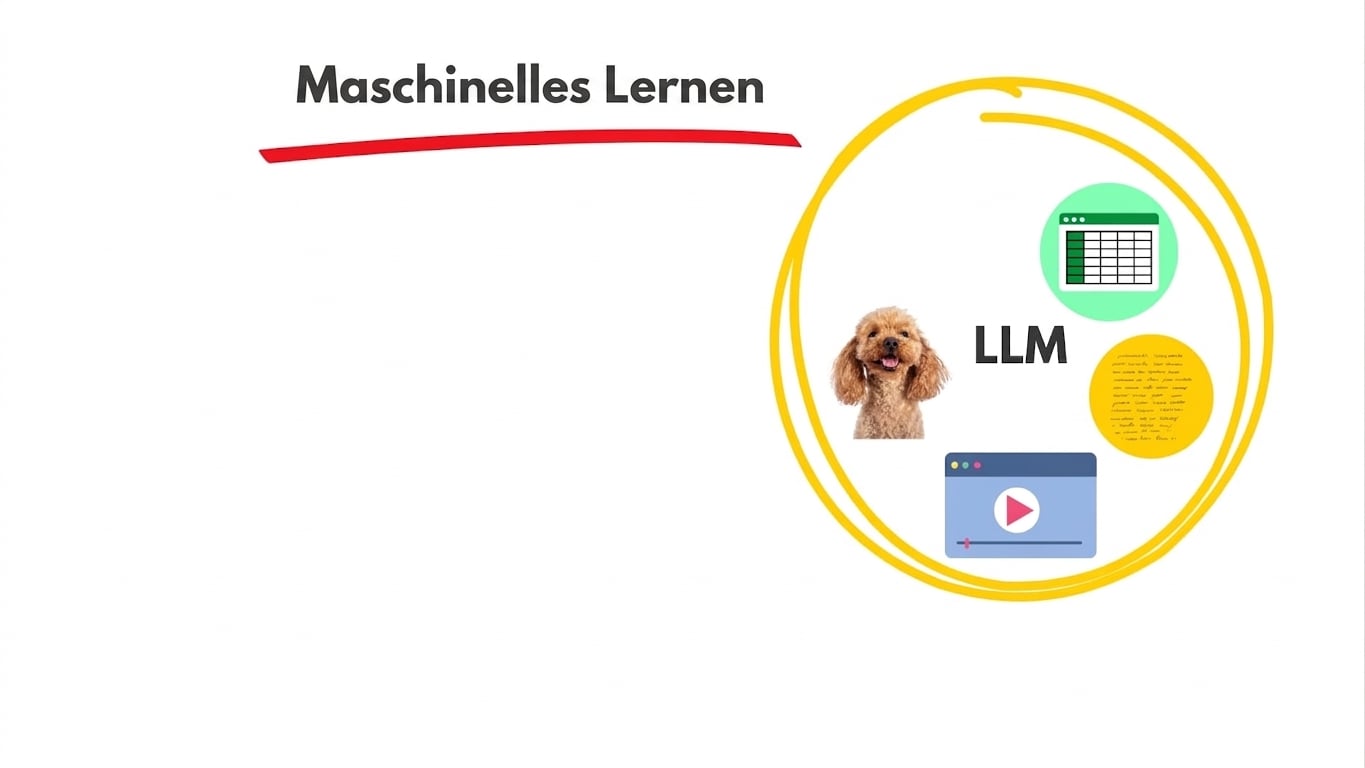 llms5.jpg