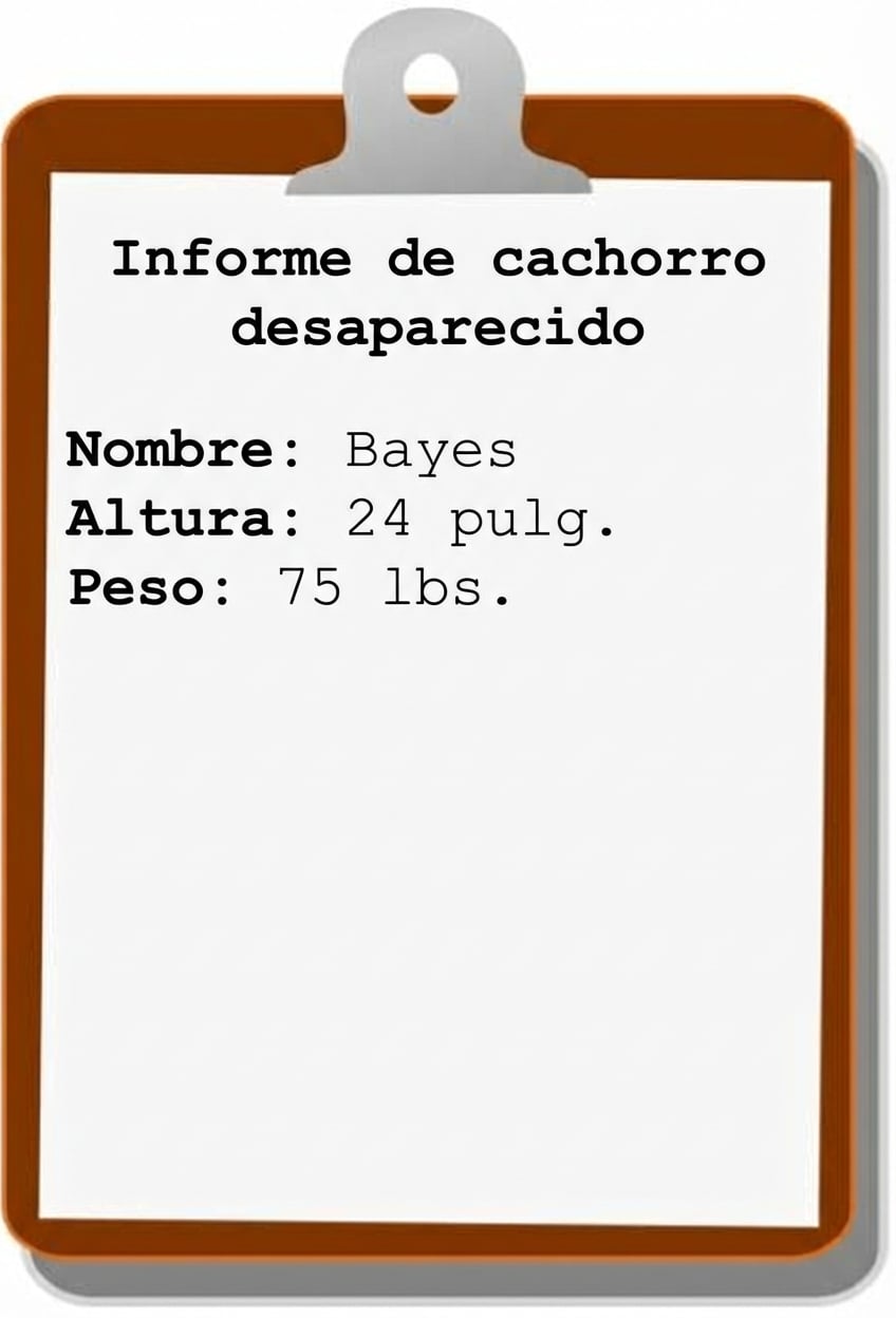 informe-de-cachorro-desaparecido