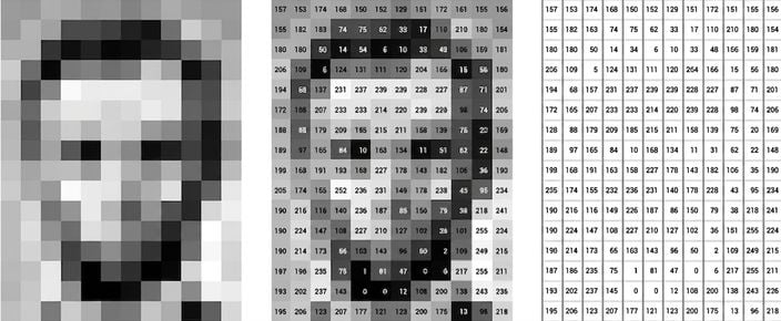 Matriz de intensidades de píxeles de la imagen