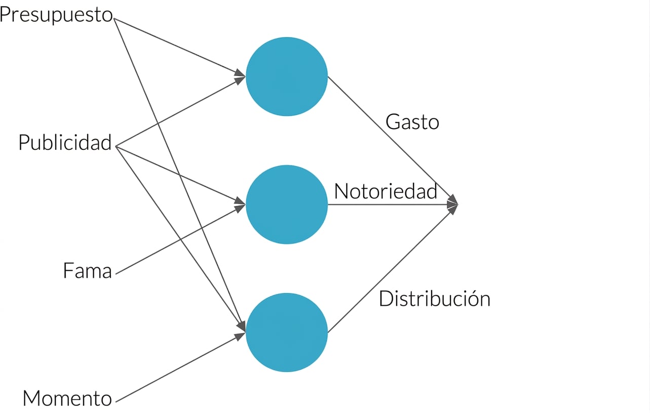 Neural net explanation