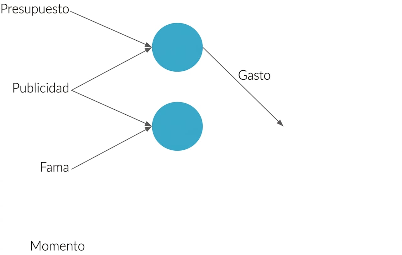 Neural net explanation