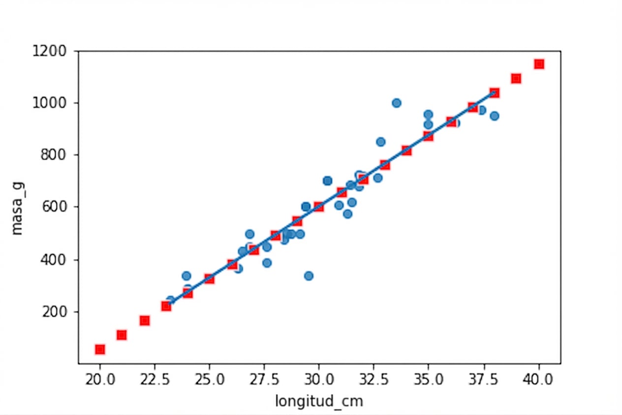 Diagrama de dispersión de masas frente a longitudes de brema, con una recta de tendencia lineal. La gráfica se ha anotado con los puntos calculados con predict(). Todos siguen exactamente la recta.