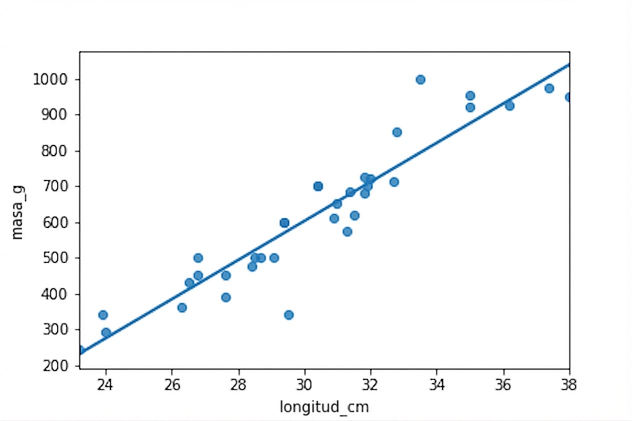 Diagrama de dispersión de masas frente a longitudes de brema, con una recta de tendencia lineal. Los puntos están cerca de la recta.