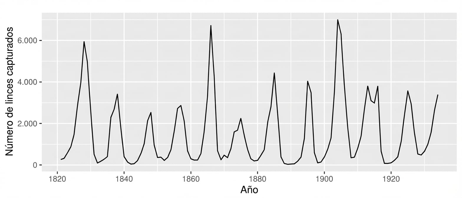 Un gráfico de líneas de series temporales que muestra un patrón de subidas y bajadas en los datos.