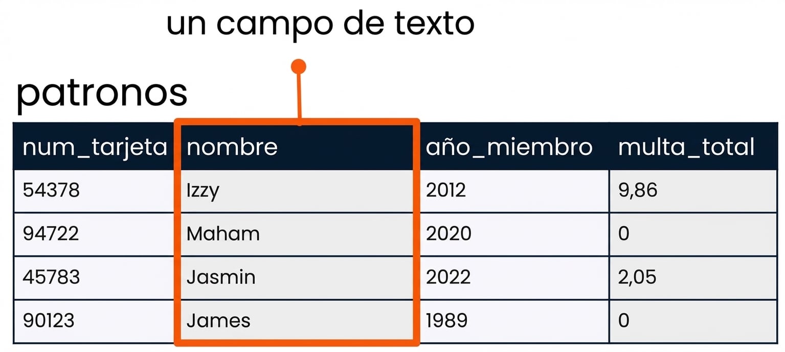 la tabla patrons con el campo name resaltado como ejemplo de un campo de cadena