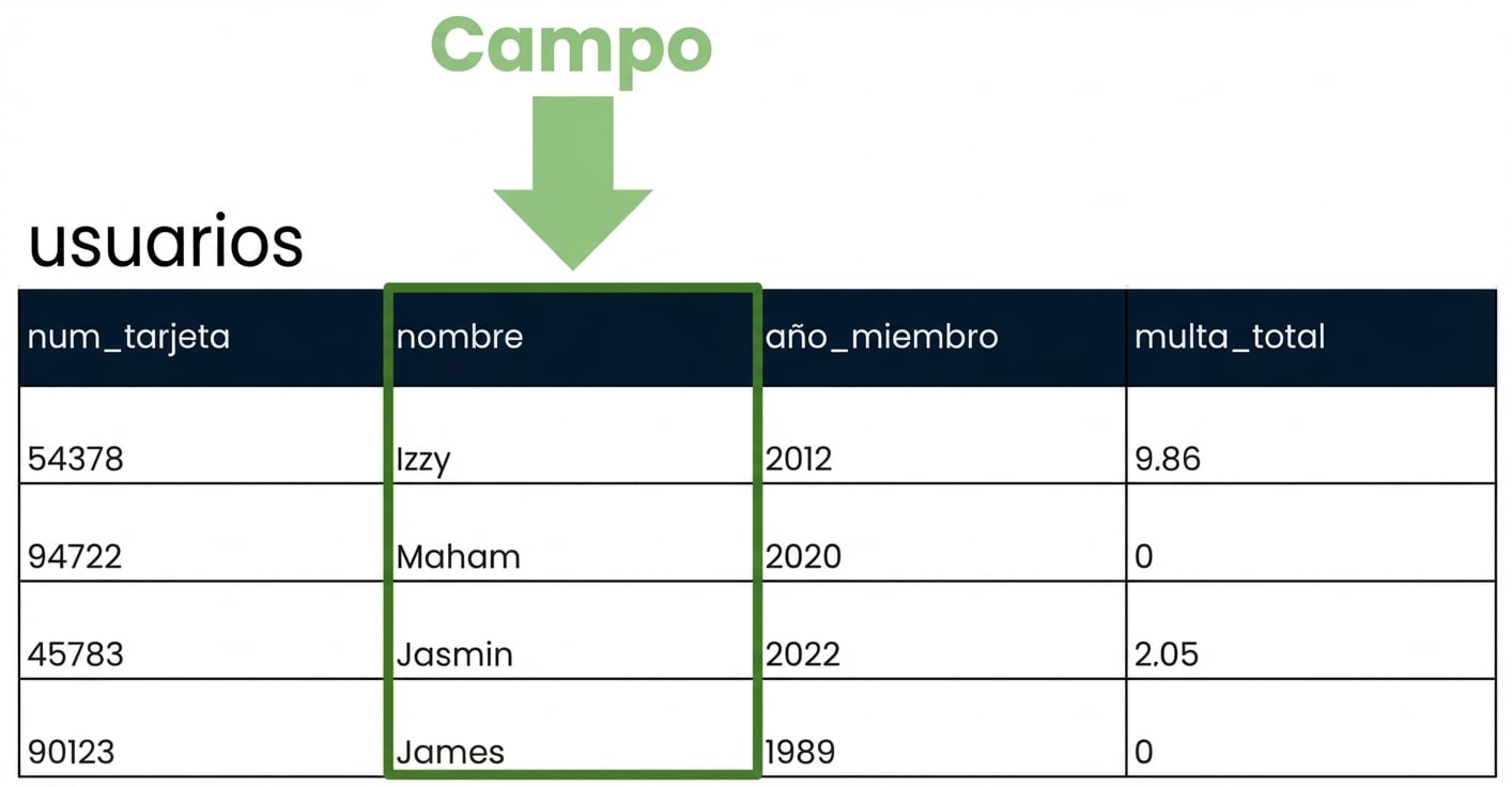la tabla patrons con un solo campo resaltado