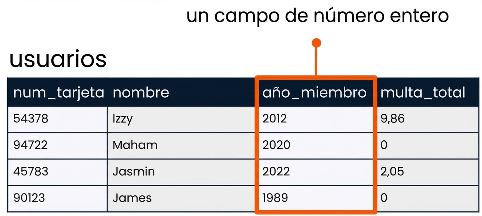 la tabla patrons con el campo member_year resaltado como ejemplo de un campo entero