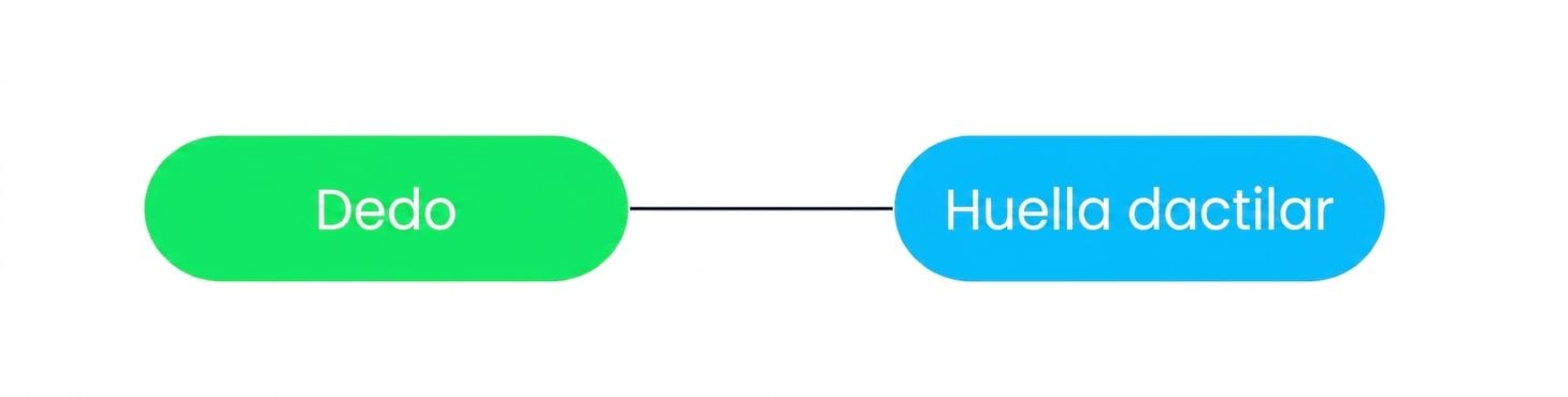 Un diagrama que muestra que una huella dactilar solo puede asociarse a un viajero.