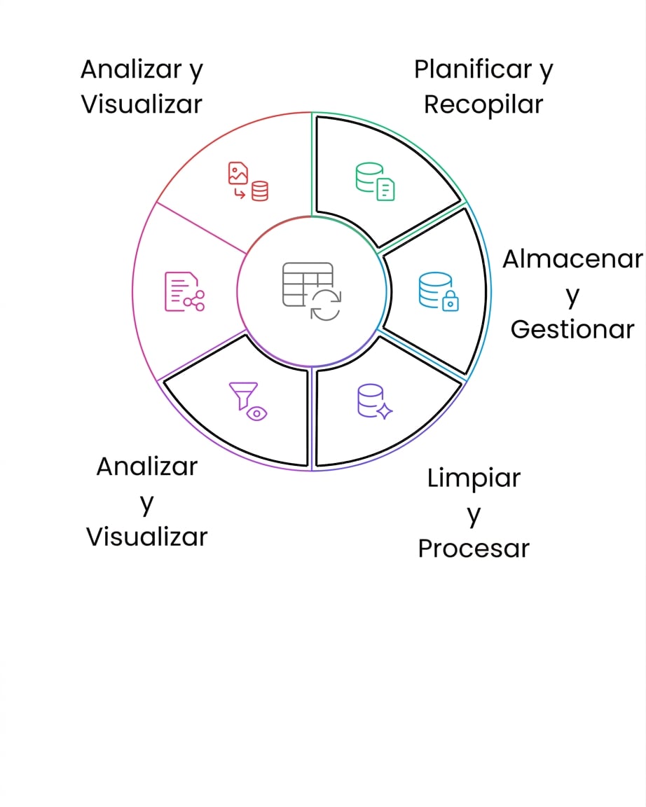 Análisis y visualización del ciclo de vida de los datos