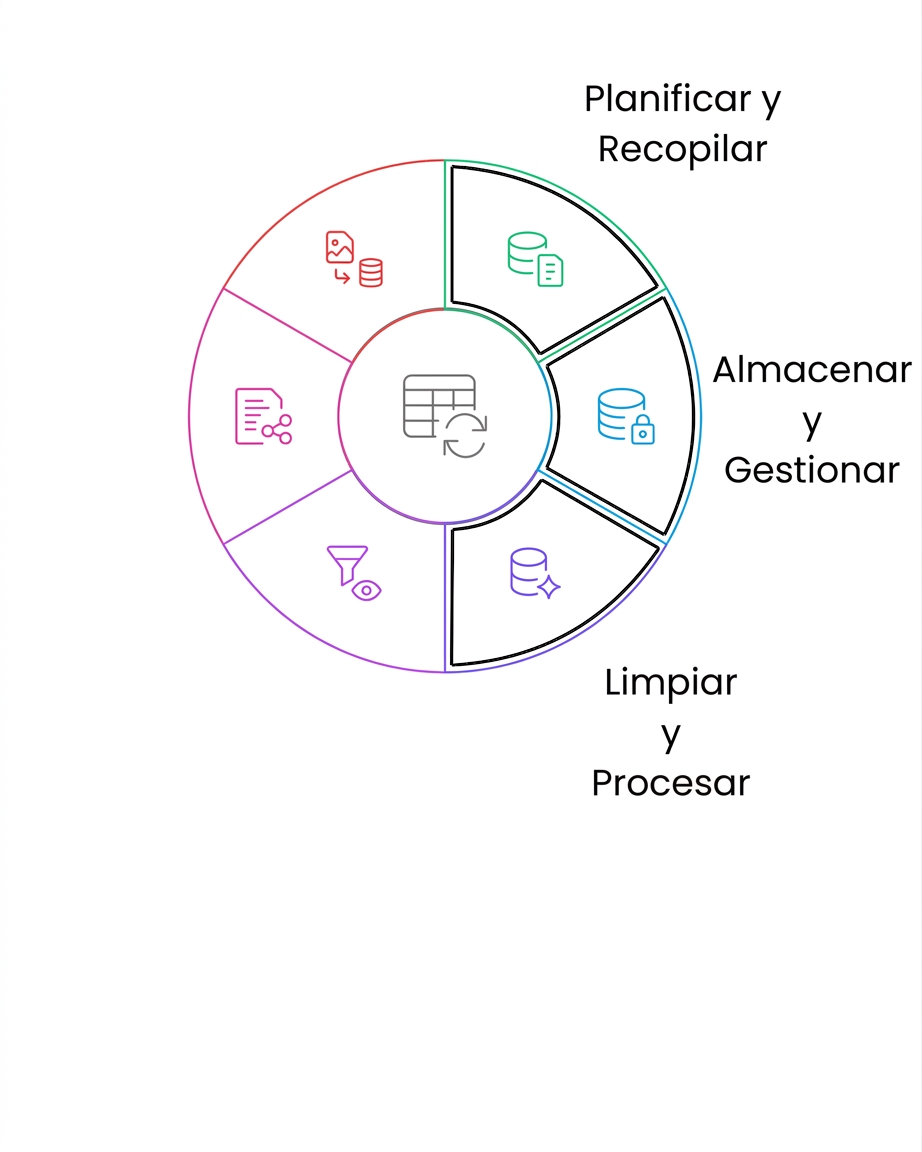 Limpieza y procesamiento del ciclo de vida de los datos