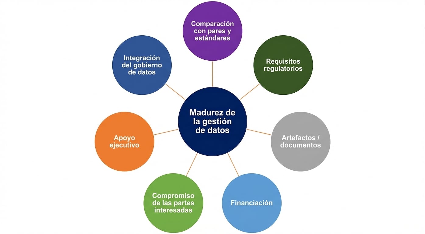 Gráfico con distintos componentes de la madurez en la gestión de datos