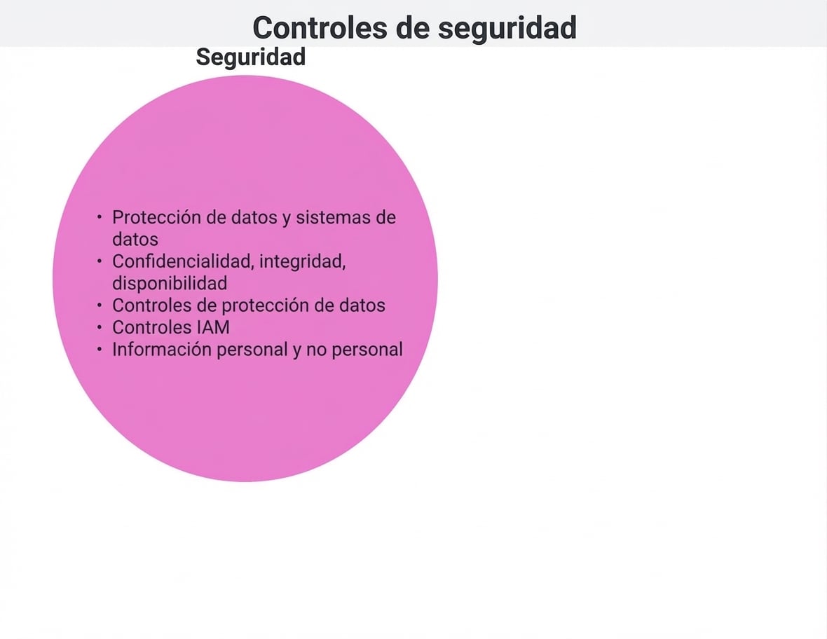 Círculo de controles de seguridad
