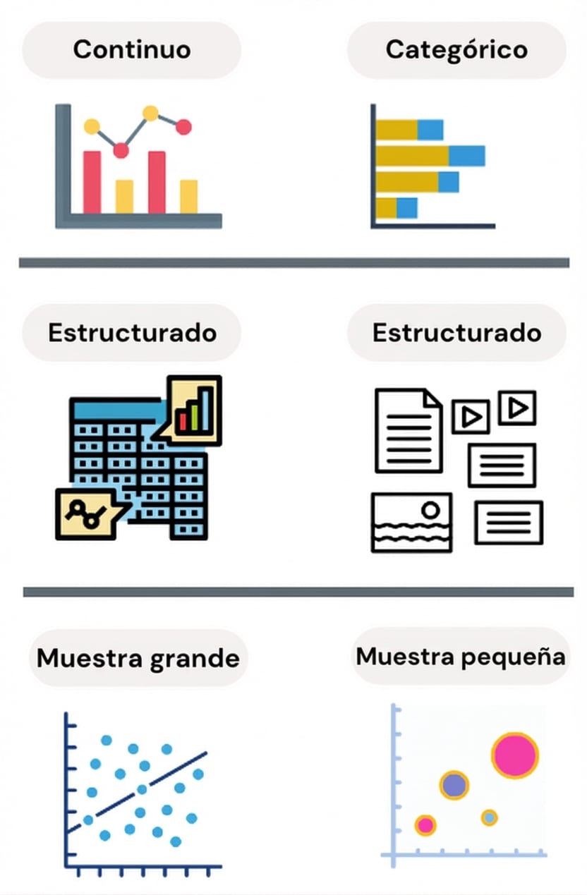 Tipos y tamaño de datos